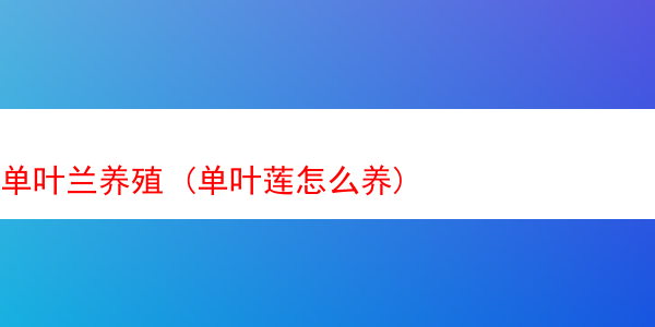 单叶兰养殖 (单叶莲怎么养)