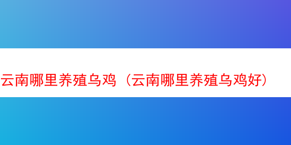 云南哪里养殖乌鸡 (云南哪里养殖乌鸡好)