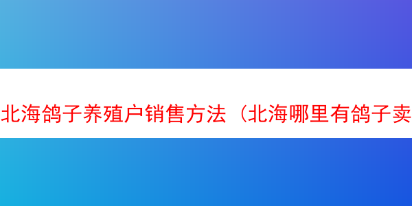 北海鸽子养殖户销售方法 (北海哪里有鸽子卖)