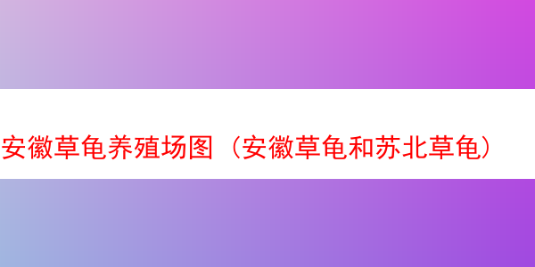 安徽草龟养殖场图 (安徽草龟和苏北草龟)