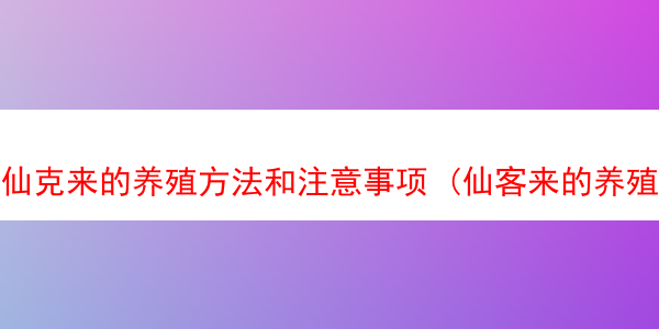 仙克来的养殖方法和注意事项 (仙客来的养殖方法和注意事项仙)