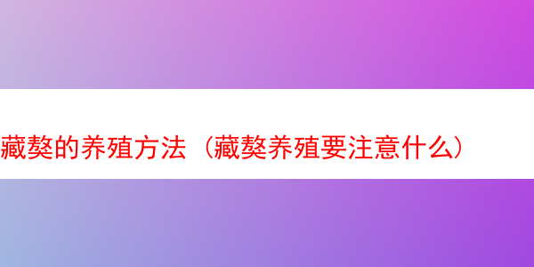 藏獒的养殖方法 (藏獒养殖要注意什么)