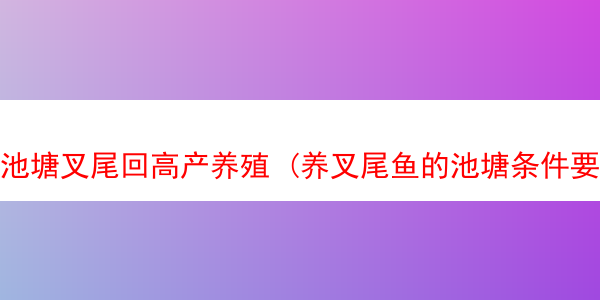 池塘叉尾回高产养殖 (养叉尾鱼的池塘条件要求)