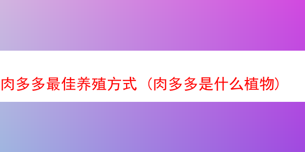 肉多多最佳养殖方式 (肉多多是什么植物)