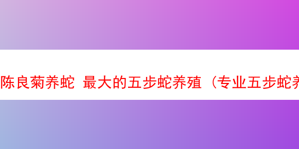 陈良菊养蛇 最大的五步蛇养殖 (专业五步蛇养殖)