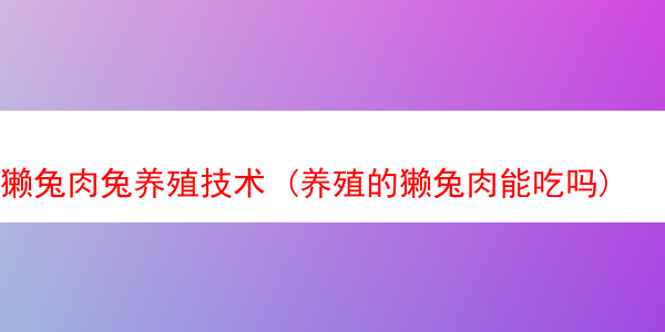 獭兔肉兔养殖技术 (养殖的獭兔肉能吃吗)