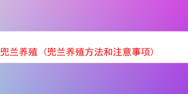 兜兰养殖 (兜兰养殖方法和注意事项)