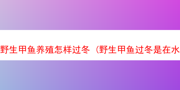 野生甲鱼养殖怎样过冬 (野生甲鱼过冬是在水里还是陆地)