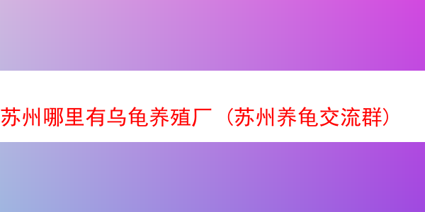 苏州哪里有乌龟养殖厂 (苏州养龟交流群)