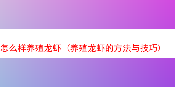 怎么样养殖龙虾 (养殖龙虾的方法与技巧)