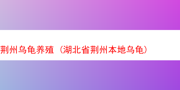 荆州乌龟养殖 (湖北省荆州本地乌龟)