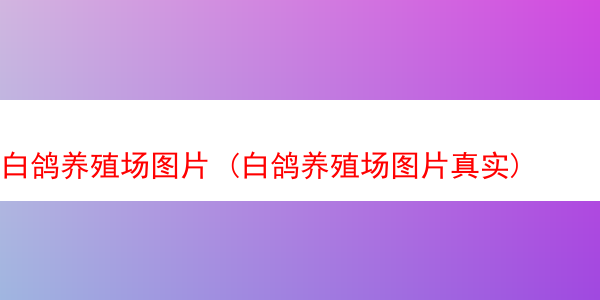 白鸽养殖场图片 (白鸽养殖场图片真实)