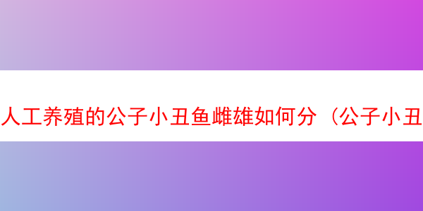 人工养殖的公子小丑鱼雌雄如何分 (公子小丑鱼种类)