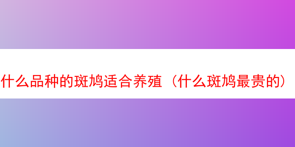 什么品种的斑鸠适合养殖 (什么斑鸠最贵的)