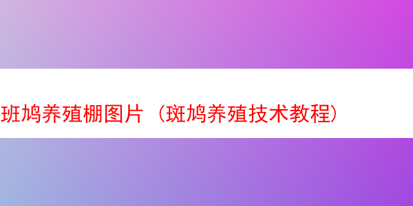 班鸠养殖棚图片 (斑鸠养殖技术教程)