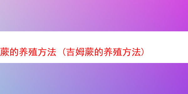 蕨的养殖方法 (吉姆蕨的养殖方法)