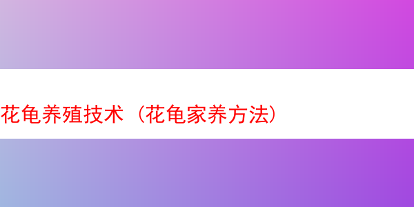 花龟养殖技术 (花龟家养方法)