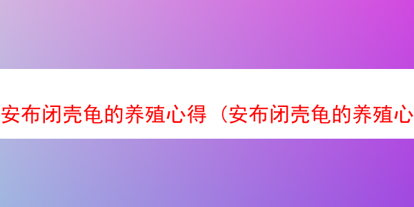 安布闭壳龟的养殖心得 (安布闭壳龟的养殖心得怎么写)