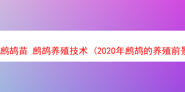 鹧鸪苗 鹧鸪养殖技术 (2020年鹧鸪的养殖前景)