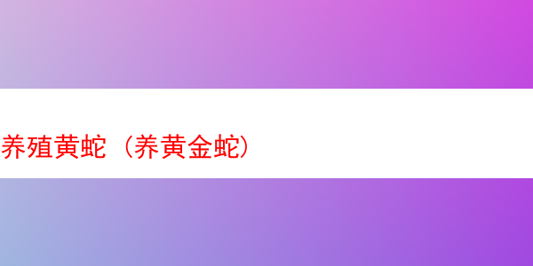 养殖黄蛇 (养黄金蛇)