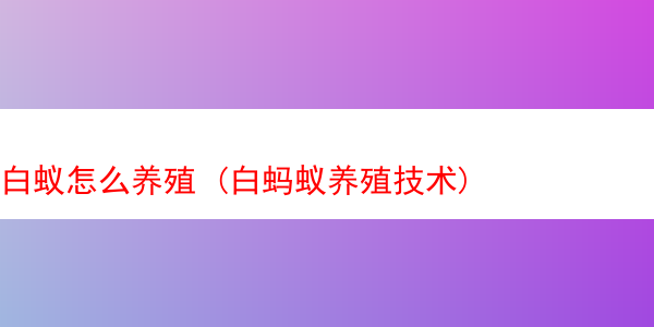 白蚁怎么养殖 (白蚂蚁养殖技术)