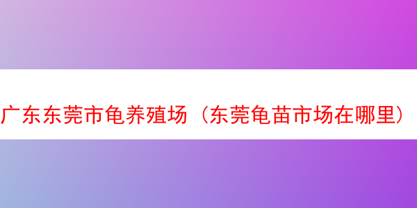 广东东莞市龟养殖场 (东莞龟苗市场在哪里)