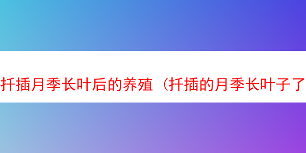 扦插月季长叶后的养殖 (扦插的月季长叶子了是成活了吗)