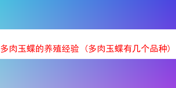 多肉玉蝶的养殖经验 (多肉玉蝶有几个品种)