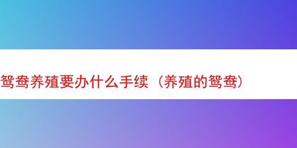 鸳鸯养殖要办什么手续 (养殖的鸳鸯)