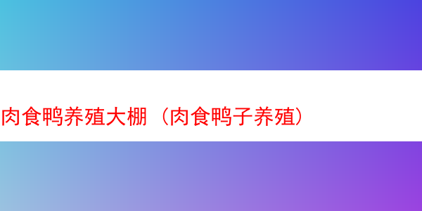 肉食鸭养殖大棚 (肉食鸭子养殖)