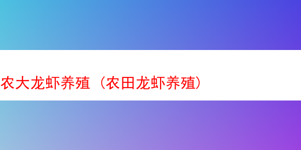 农大龙虾养殖 (农田龙虾养殖)