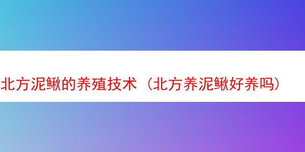 北方泥鳅的养殖技术 (北方养泥鳅好养吗)