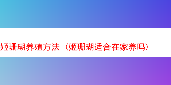 姬珊瑚养殖方法 (姬珊瑚适合在家养吗)