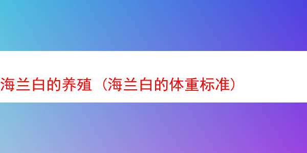 海兰白的养殖 (海兰白的体重标准)