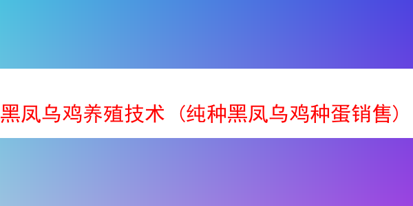 黑凤乌鸡养殖技术 (纯种黑凤乌鸡种蛋销售)