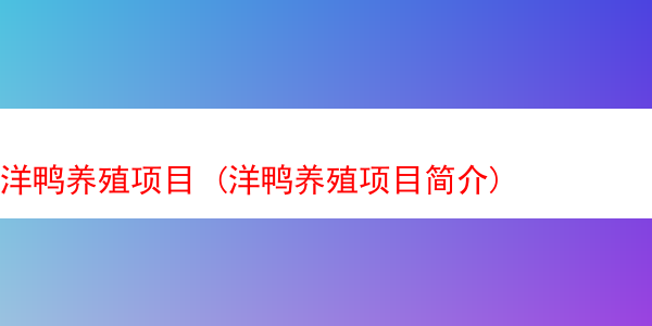 洋鸭养殖项目 (洋鸭养殖项目简介)