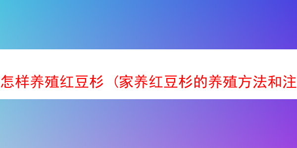 怎样养殖红豆杉 (家养红豆杉的养殖方法和注意事项)