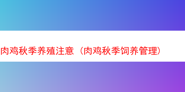 肉鸡秋季养殖注意 (肉鸡秋季饲养管理)