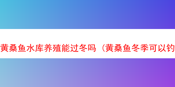 黄桑鱼水库养殖能过冬吗 (黄桑鱼冬季可以钓吗)