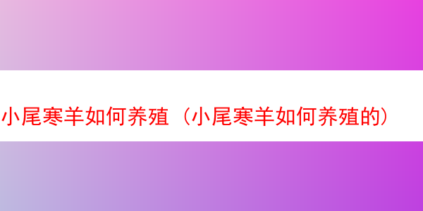 小尾寒羊如何养殖 (小尾寒羊如何养殖的)