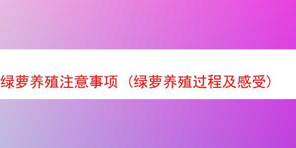 绿萝养殖注意事项 (绿萝养殖过程及感受)