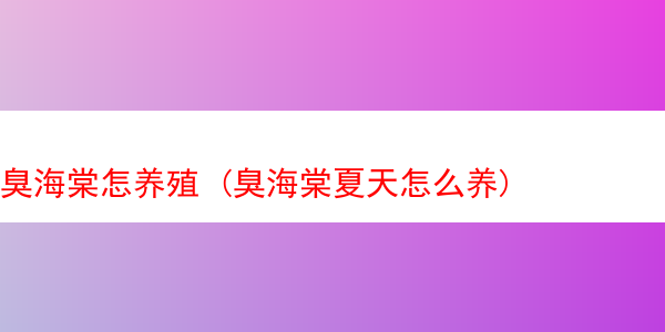 臭海棠怎养殖 (臭海棠夏天怎么养)