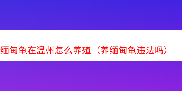 缅甸龟在温州怎么养殖 (养缅甸龟违法吗)