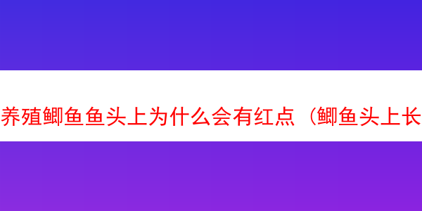 养殖鲫鱼鱼头上为什么会有红点 (鲫鱼头上长的白色疙瘩是什么)