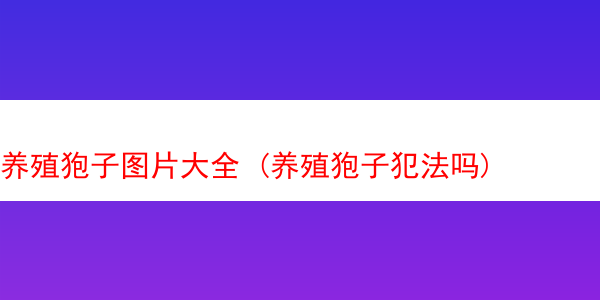 养殖狍子图片大全 (养殖狍子犯法吗)