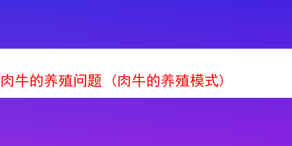 肉牛的养殖问题 (肉牛的养殖模式)