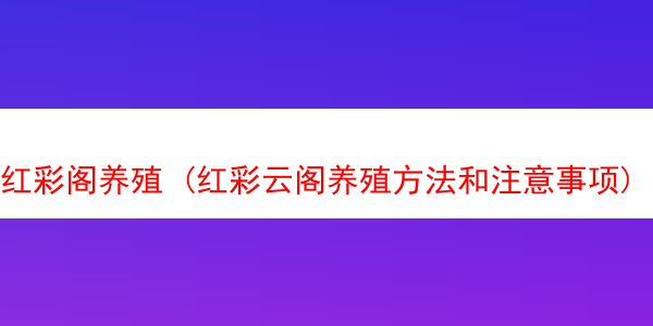 红彩阁养殖 (红彩云阁养殖方法和注意事项)