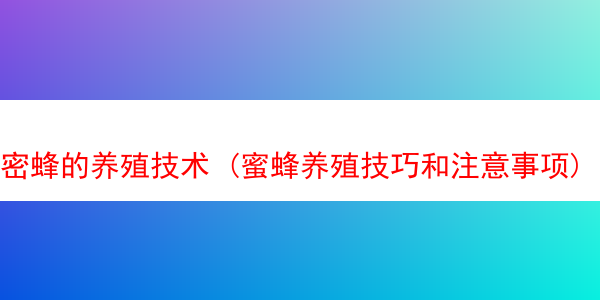 密蜂的养殖技术 (蜜蜂养殖技巧和注意事项)