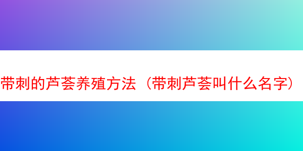 带刺的芦荟养殖方法 (带刺芦荟叫什么名字)