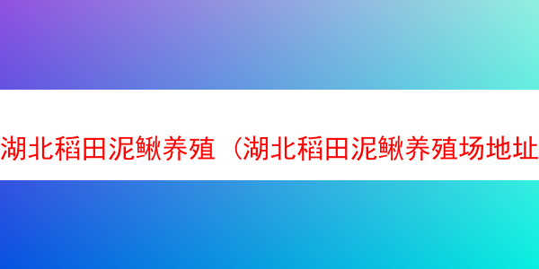 湖北稻田泥鳅养殖 (湖北稻田泥鳅养殖场地址)